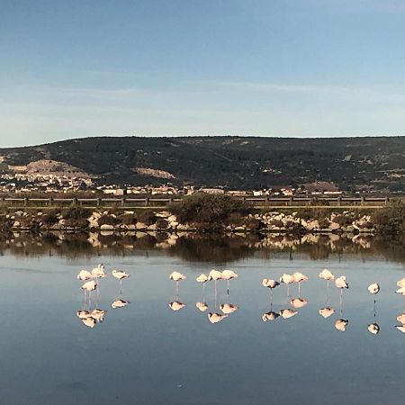 Flamants Roses 1 Pers 6 Frontignan Εξωτερικό φωτογραφία